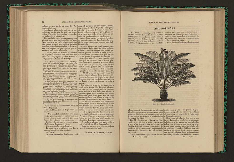 Jornal de horticultura prtica XVII 50