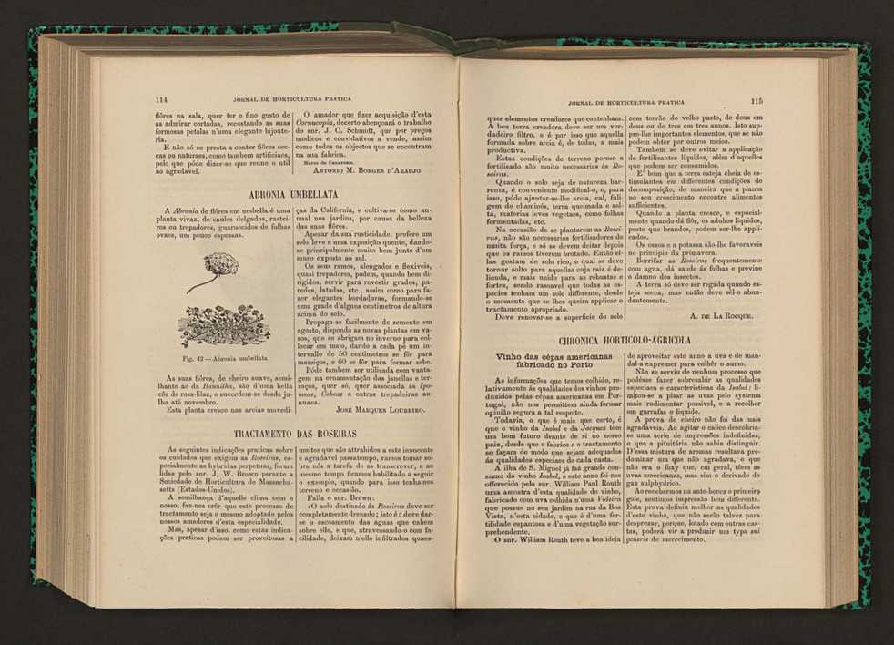 Jornal de horticultura prtica XVII 73