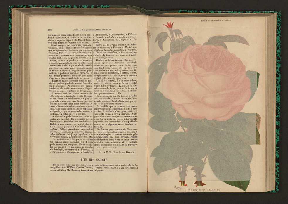 Jornal de horticultura prtica XVII 80