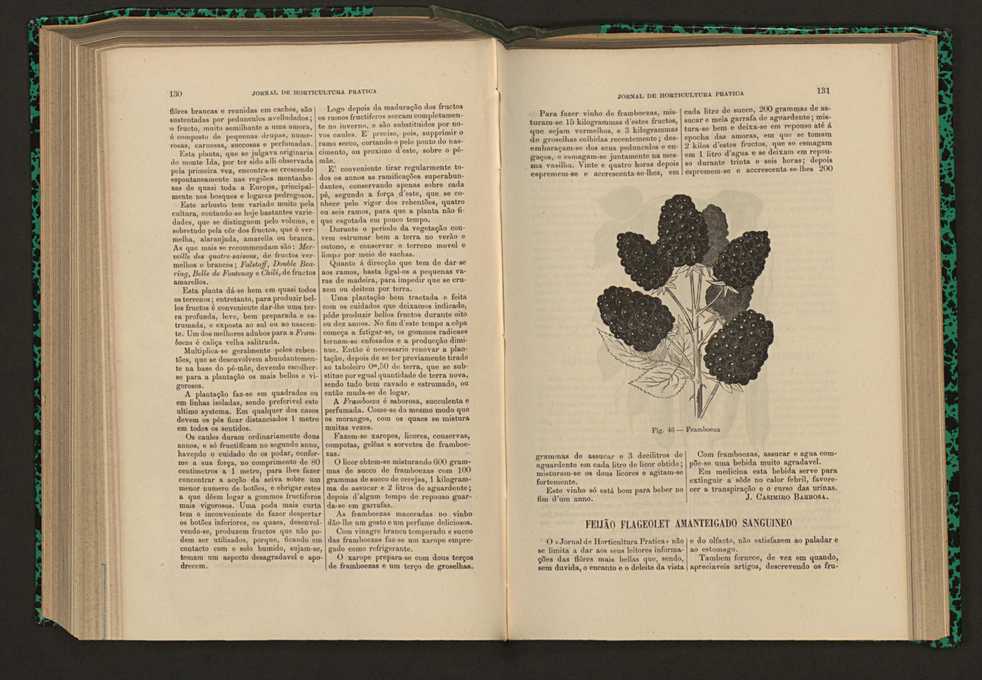 Jornal de horticultura prtica XVII 83