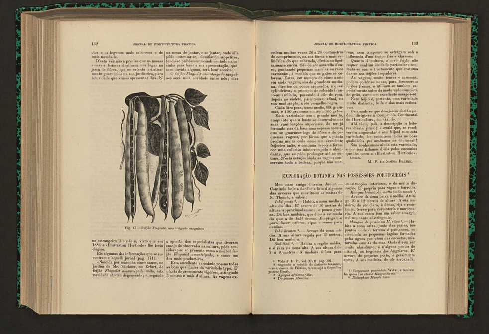 Jornal de horticultura prtica XVII 84