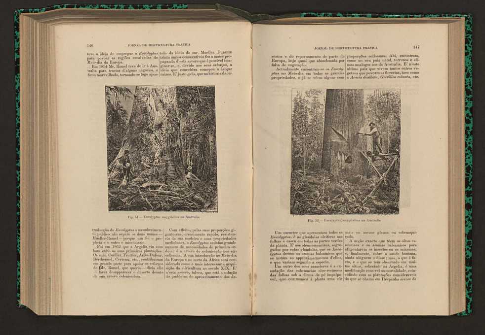 Jornal de horticultura prtica XVII 92