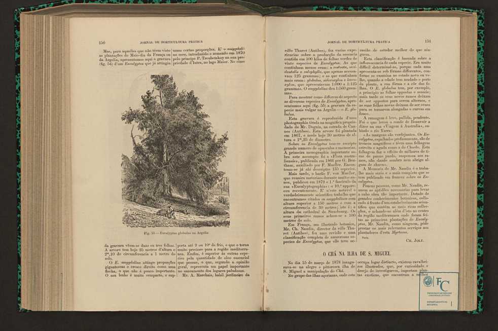 Jornal de horticultura prtica XVII 94