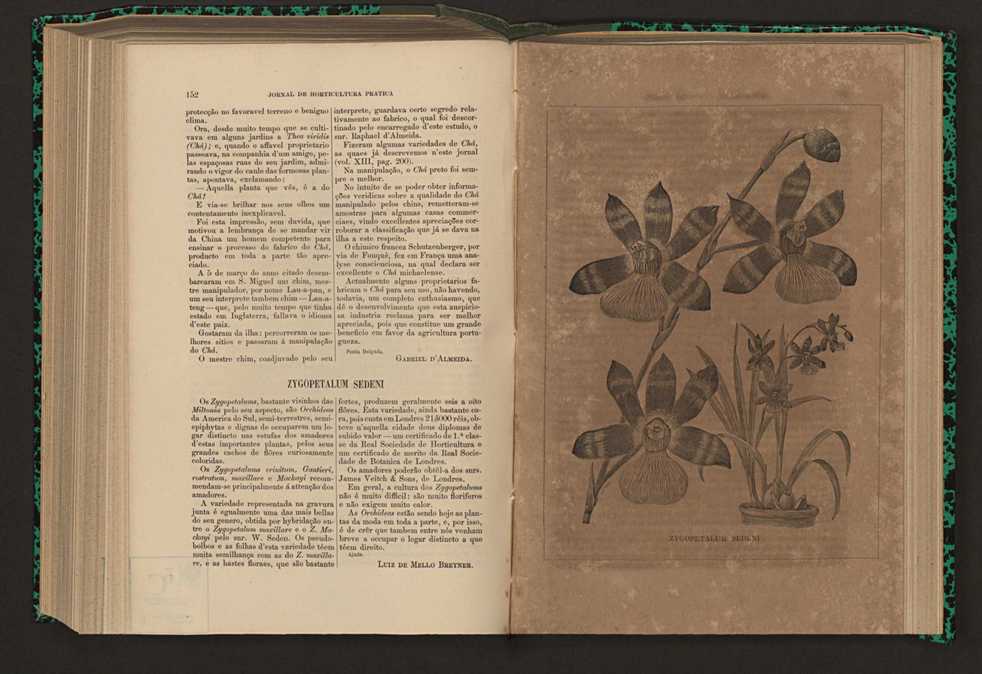 Jornal de horticultura prtica XVII 95