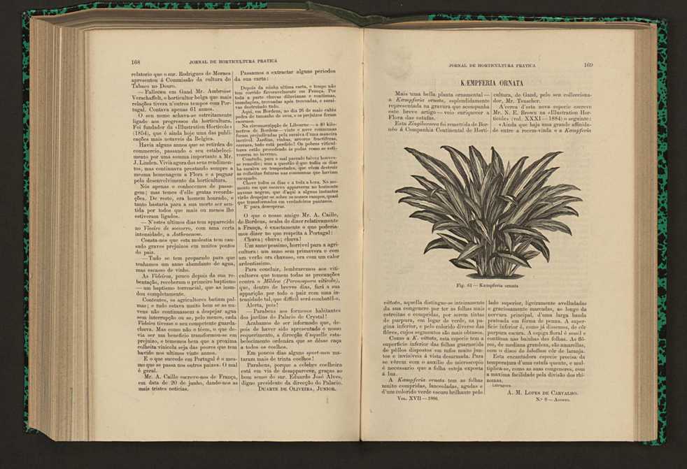 Jornal de horticultura prtica XVII 104