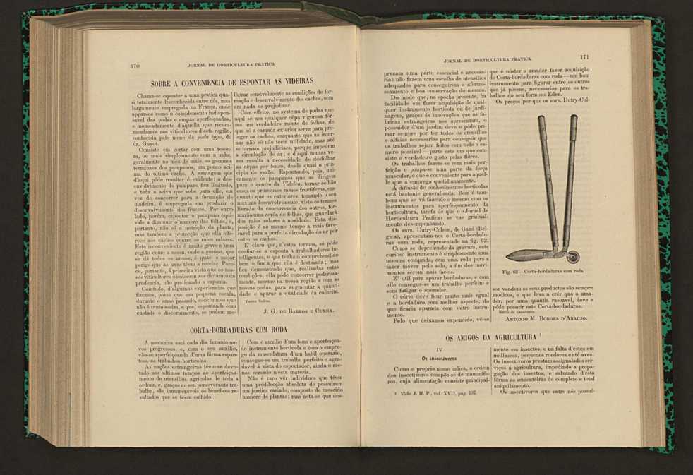 Jornal de horticultura prtica XVII 105