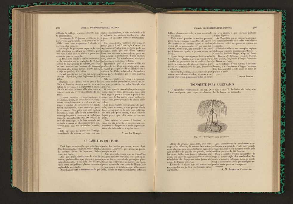 Jornal de horticultura prtica XVII 126