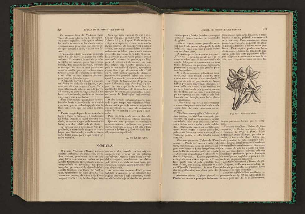 Jornal de horticultura prtica XVII 138