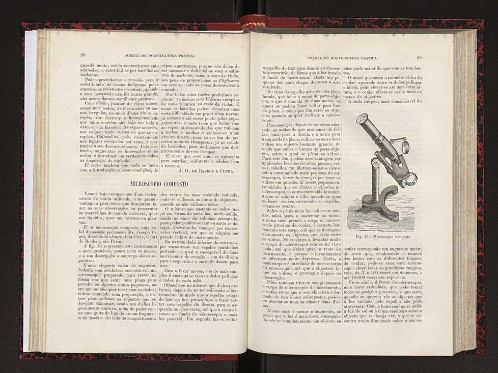 Jornal de horticultura prtica XVIII 28