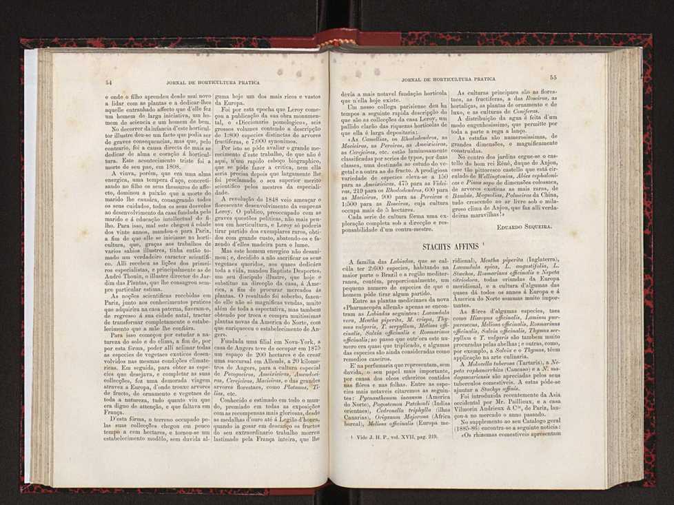 Jornal de horticultura prtica XVIII 42