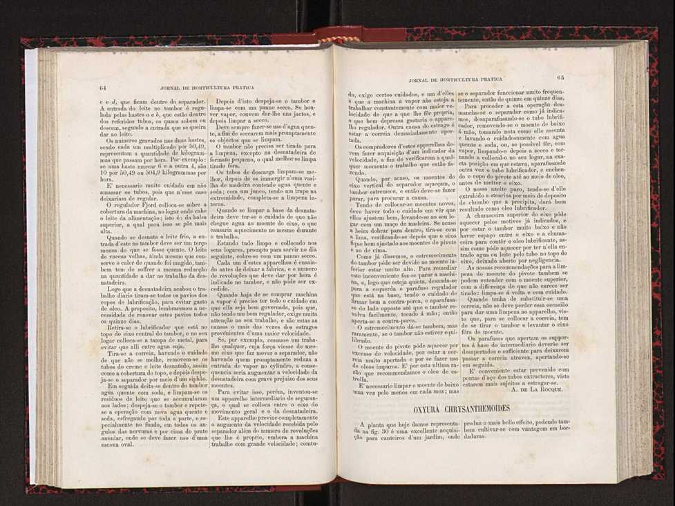 Jornal de horticultura prtica XVIII 47