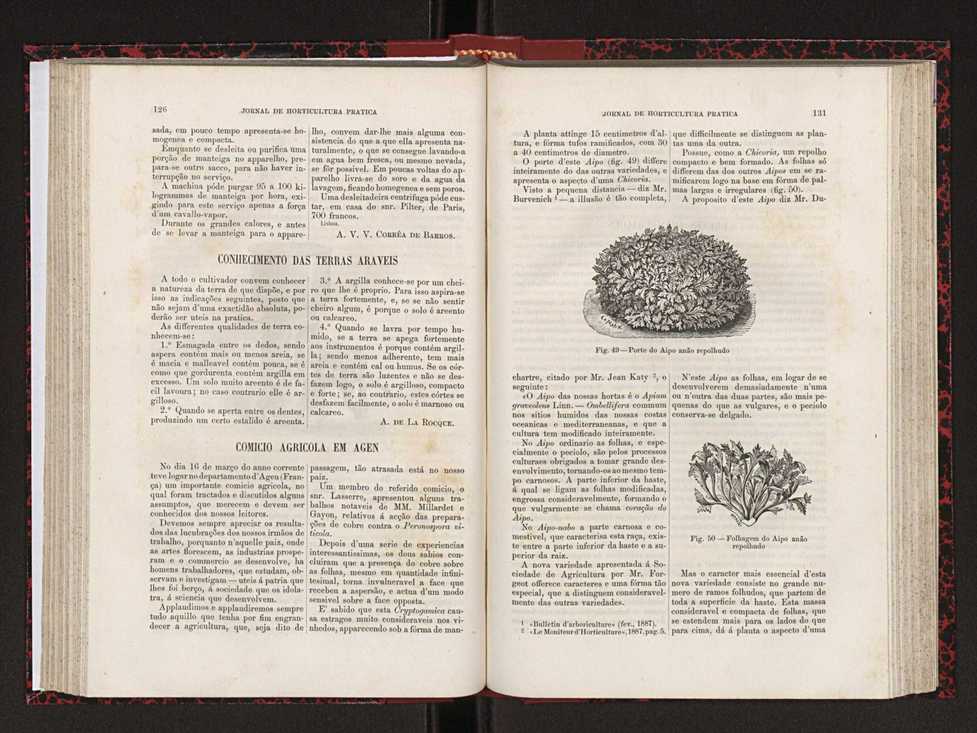 Jornal de horticultura prtica XVIII 79