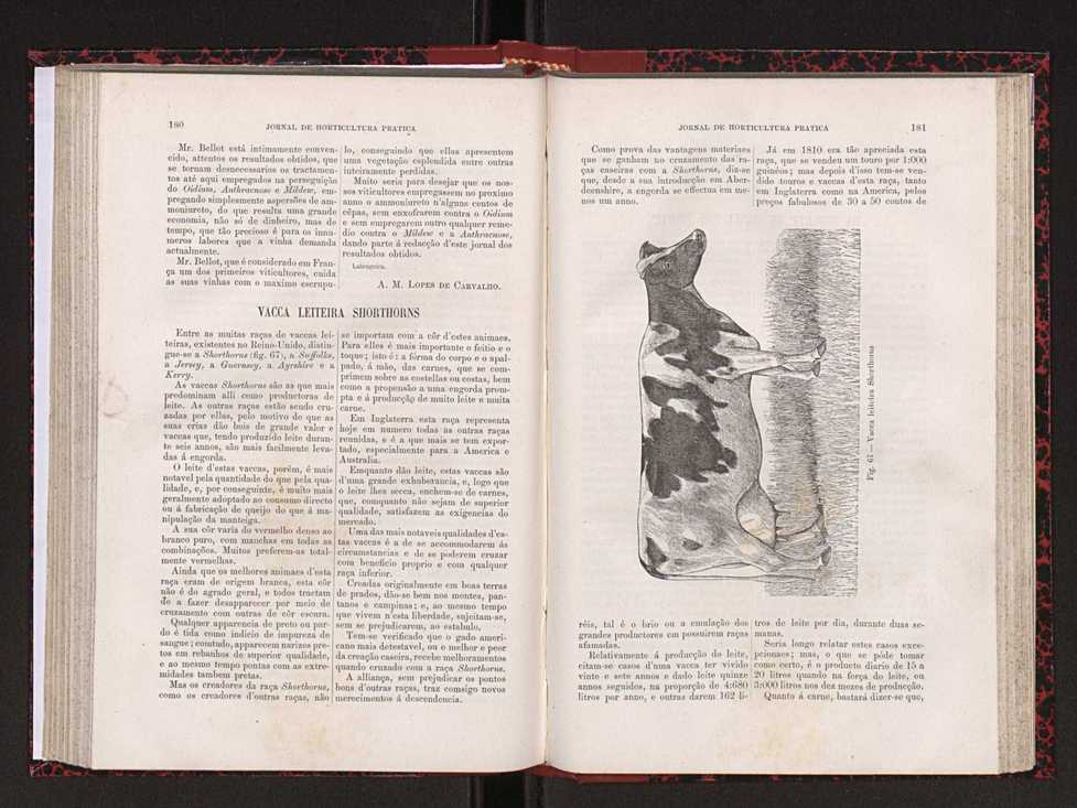 Jornal de horticultura prtica XVIII 103