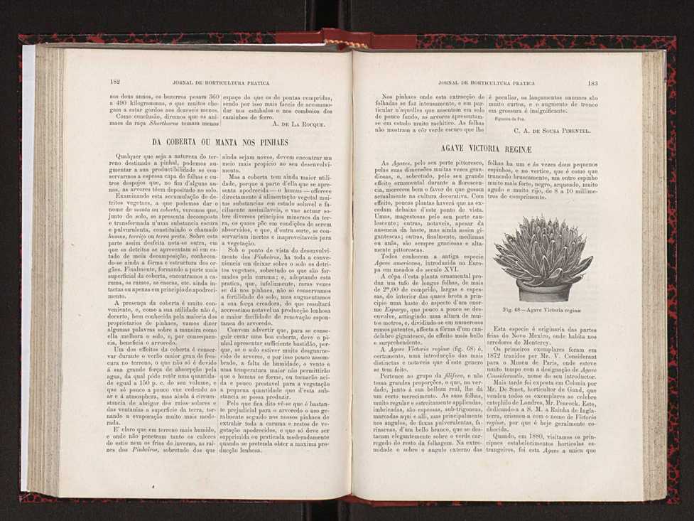 Jornal de horticultura prtica XVIII 104