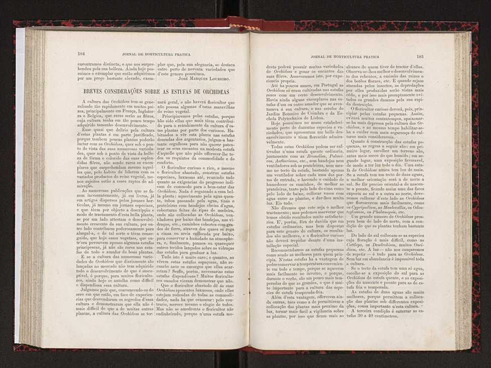 Jornal de horticultura prtica XVIII 105