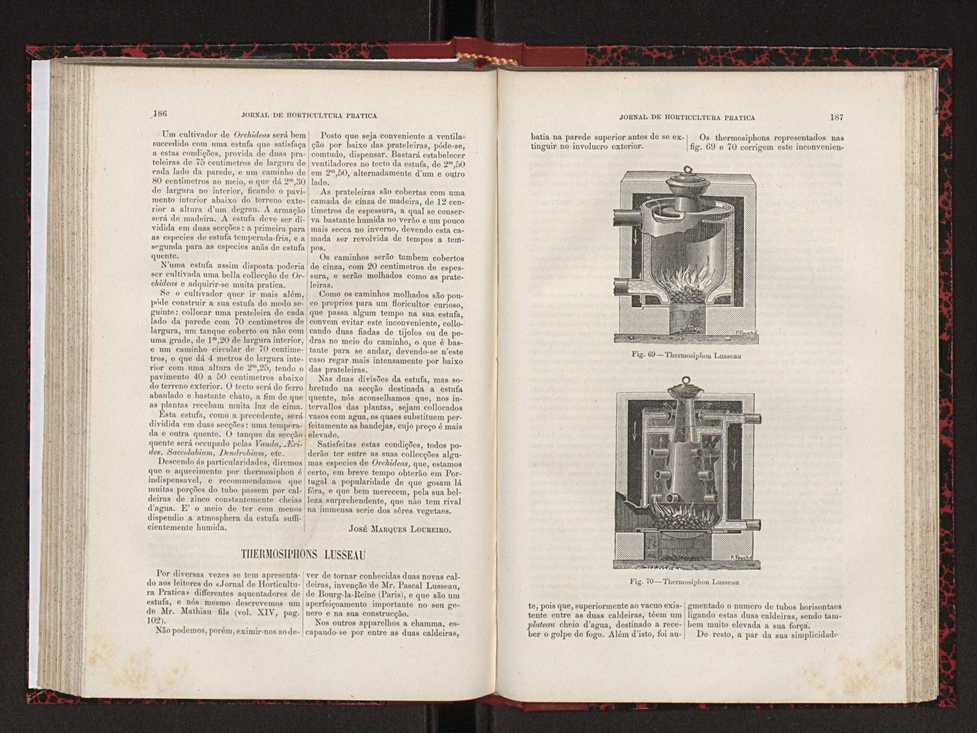 Jornal de horticultura prtica XVIII 106