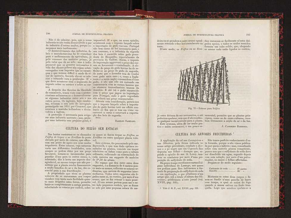 Jornal de horticultura prtica XVIII 111