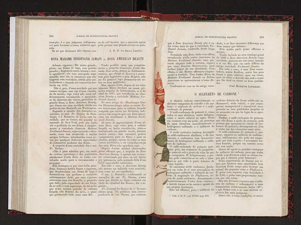 Jornal de horticultura prtica XVIII 126