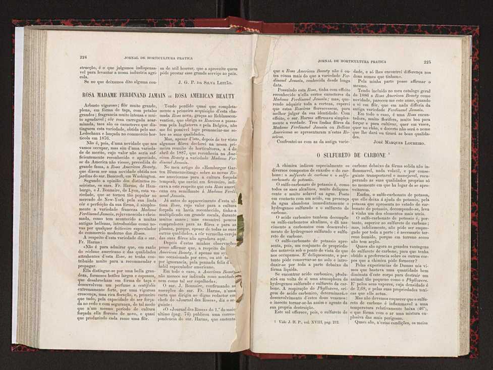 Jornal de horticultura prtica XVIII 127