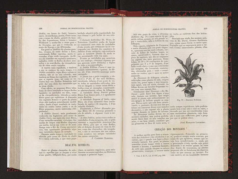 Jornal de horticultura prtica XVIII 129