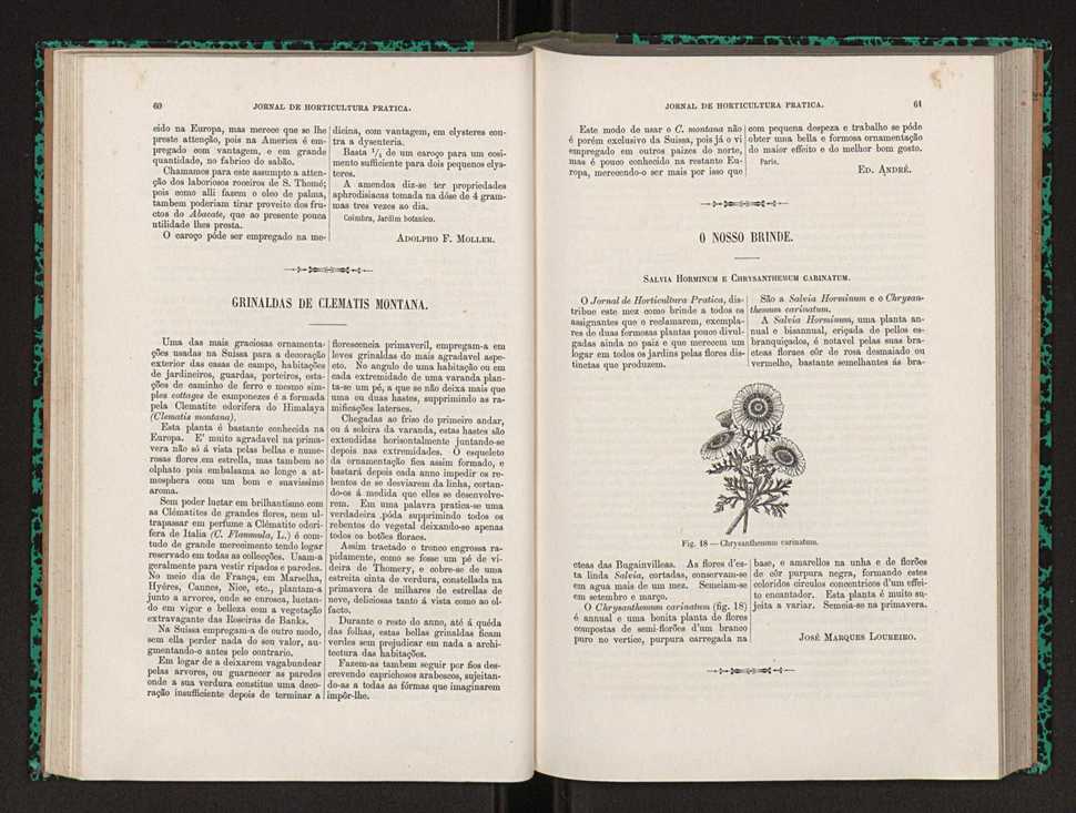 Jornal de horticultura prtica XXII 42