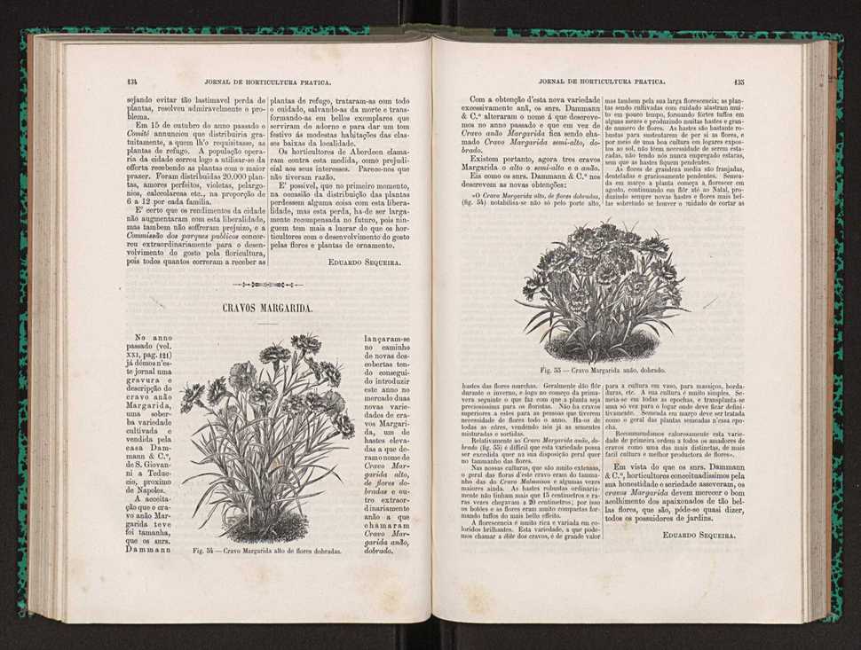 Jornal de horticultura prtica XXII 87