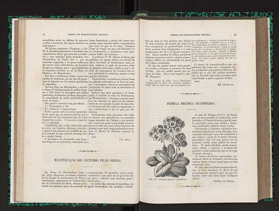 Jornal de horticultura prtica XXIII 34