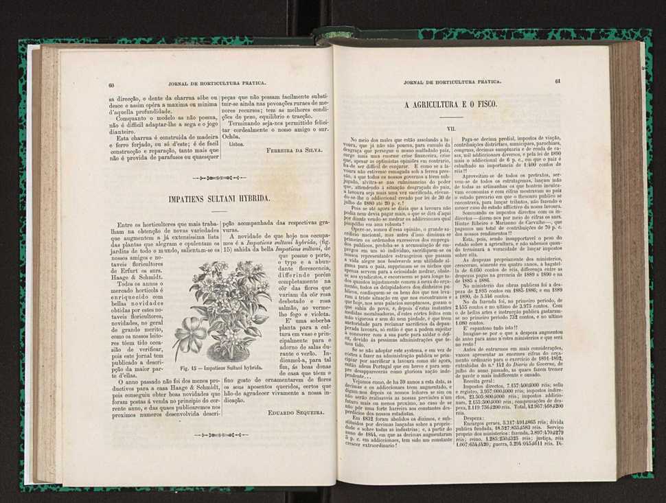 Jornal de horticultura prtica XXIII 37