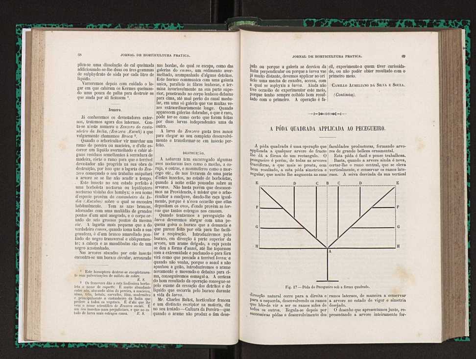 Jornal de horticultura prtica XXIII 41