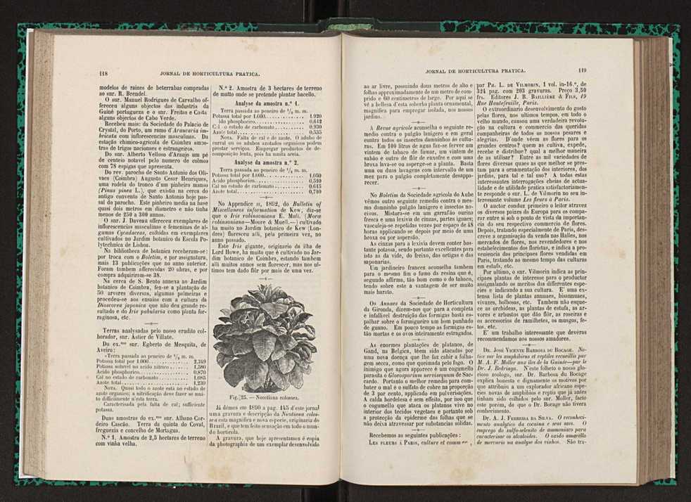 Jornal de horticultura prtica XXIII 66