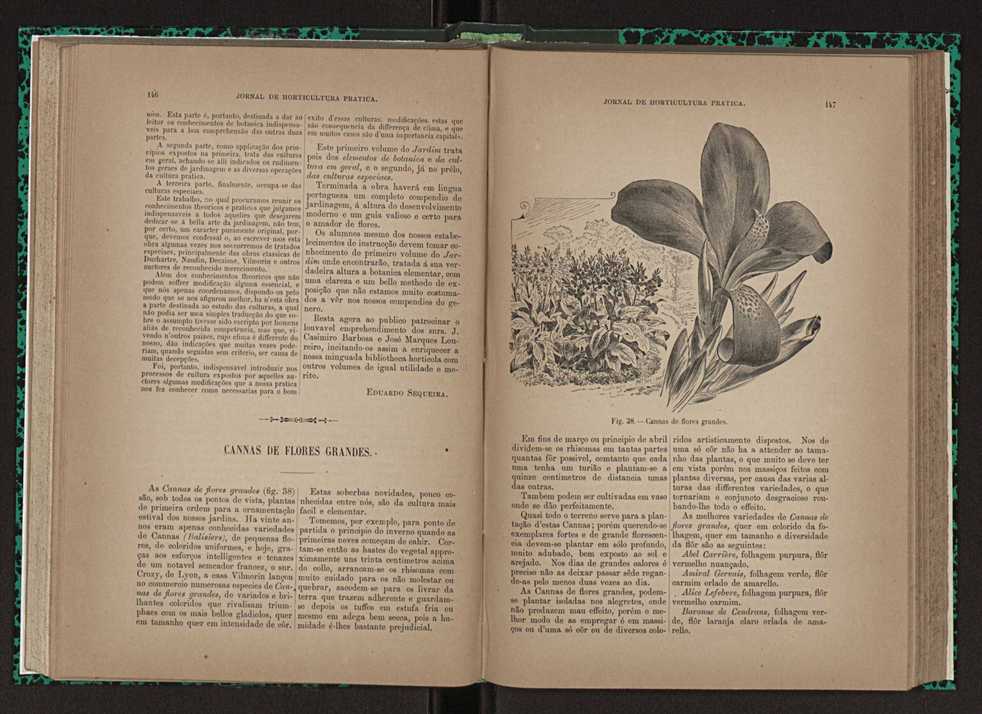 Jornal de horticultura prtica XXIII 80