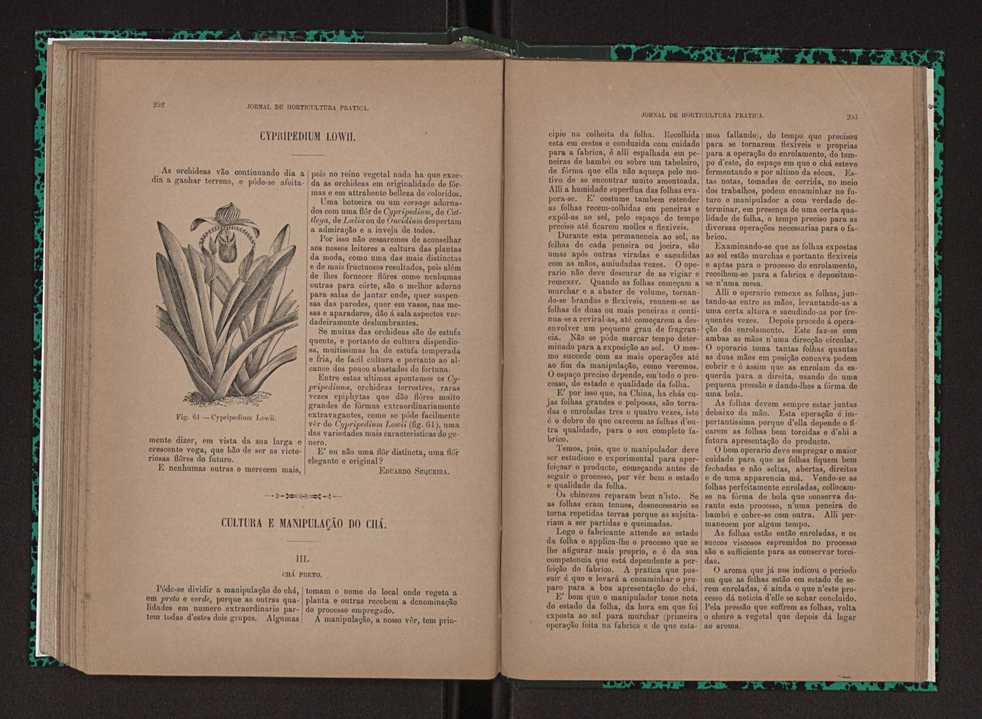 Jornal de horticultura prtica XXIII 133