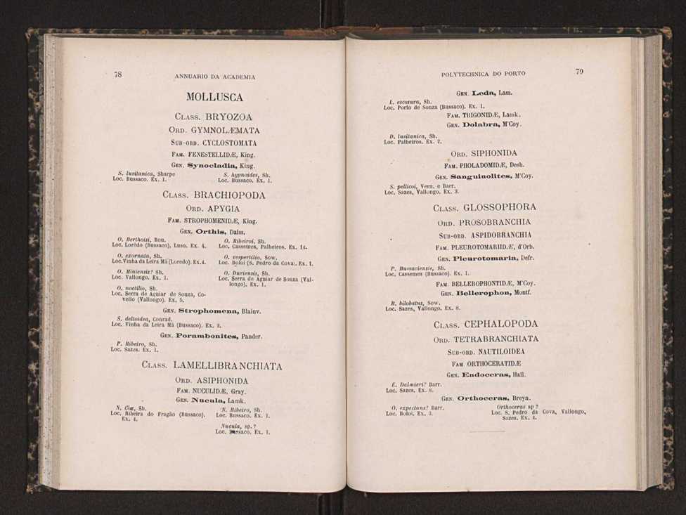 Annuario da Academia Polytechnica do Porto. A. 14 (1890-1891) / Ex. 2 43