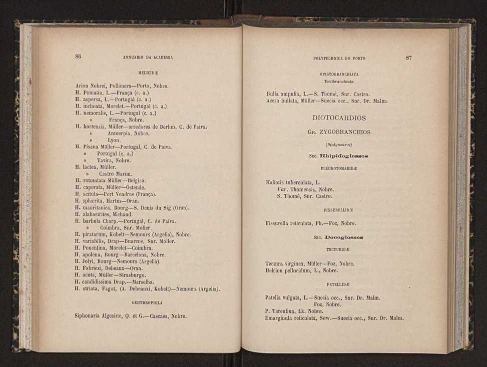 Annuario da Academia Polytechnica do Porto. A. 15 (1891-1892) / Ex. 2 46