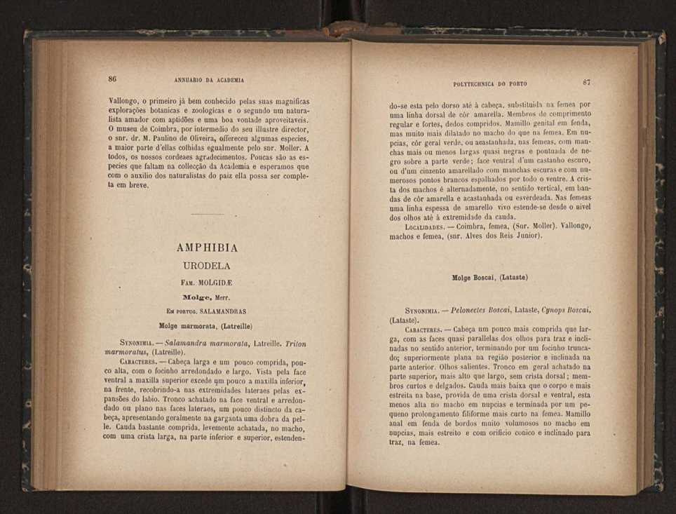 Annuario da Academia Polytechnica do Porto. A. 16 (1892-1893) / Ex. 2 45