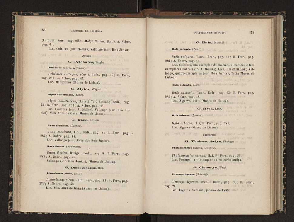 Annuario da Academia Polytechnica do Porto. A. 18 (1894-1895) / Ex. 2 31