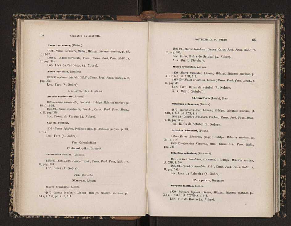 Annuario da Academia Polytechnica do Porto. A. 19 (1895-1896) / Ex. 2 34