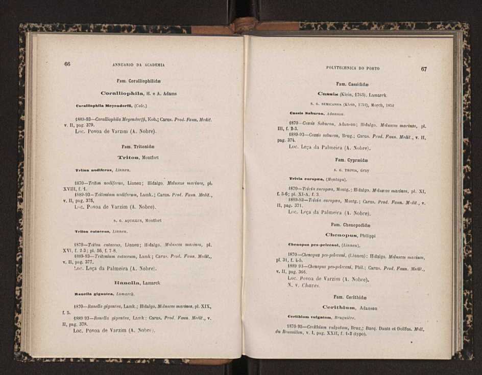 Annuario da Academia Polytechnica do Porto. A. 19 (1895-1896) / Ex. 2 35