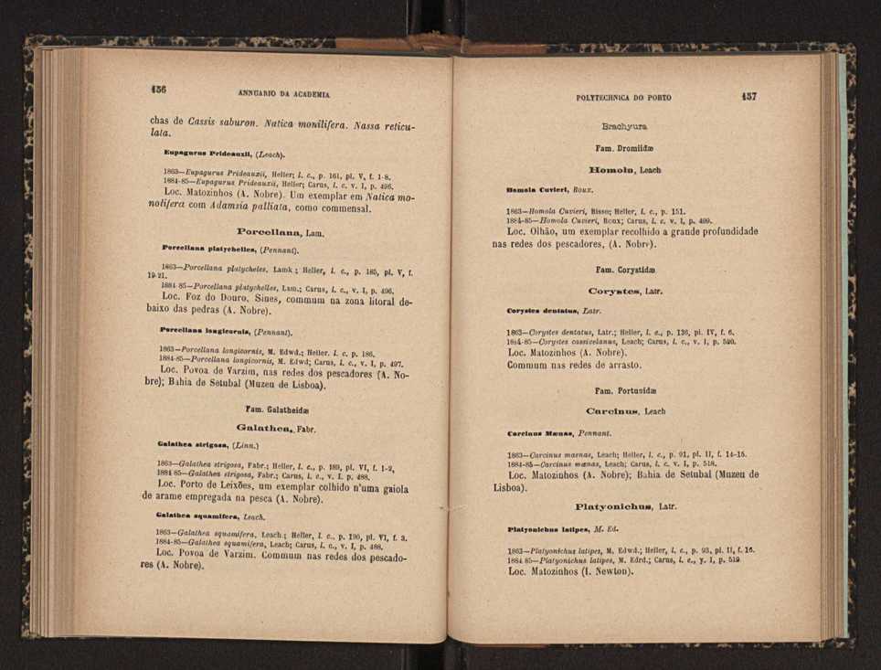 Annuario da Academia Polytechnica do Porto. A. 20 (1896-1897) / Ex. 2 81