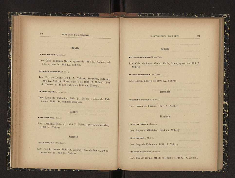 Annuario da Academia Polytechnica do Porto. A. 24 (1900-1901) / Ex. 2 48