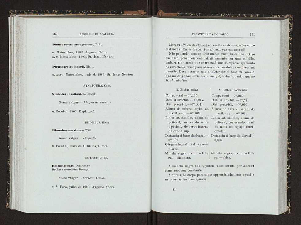 Annuario da Academia Polytechnica do Porto. A. 26 (1902-1903) / Ex. 2 88
