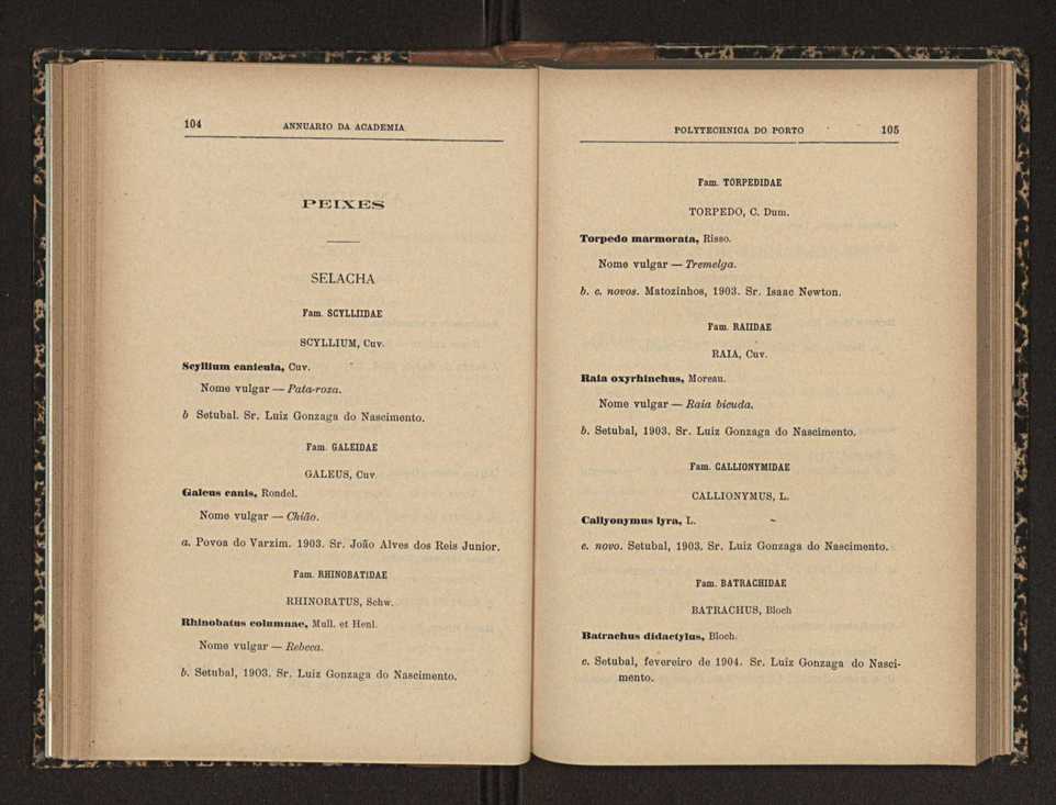 Annuario da Academia Polytechnica do Porto. A. 27 (1903-1904) / Ex. 2 60