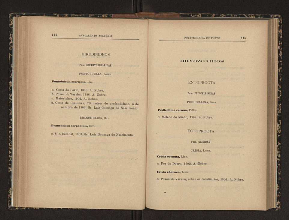 Annuario da Academia Polytechnica do Porto. A. 27 (1903-1904) / Ex. 2 65