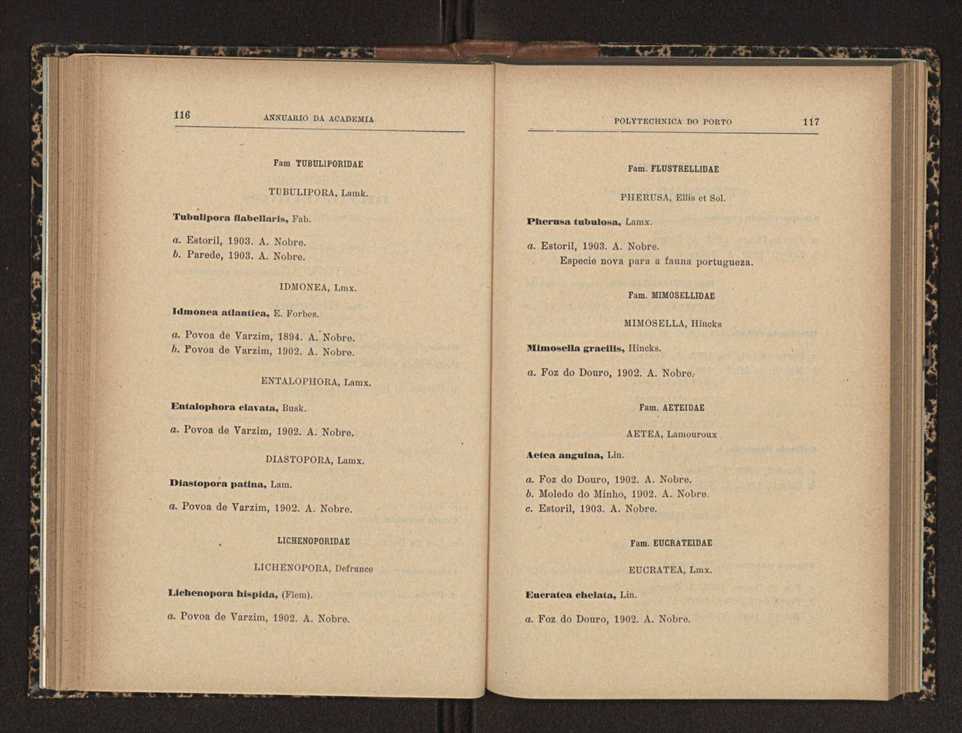 Annuario da Academia Polytechnica do Porto. A. 27 (1903-1904) / Ex. 2 66