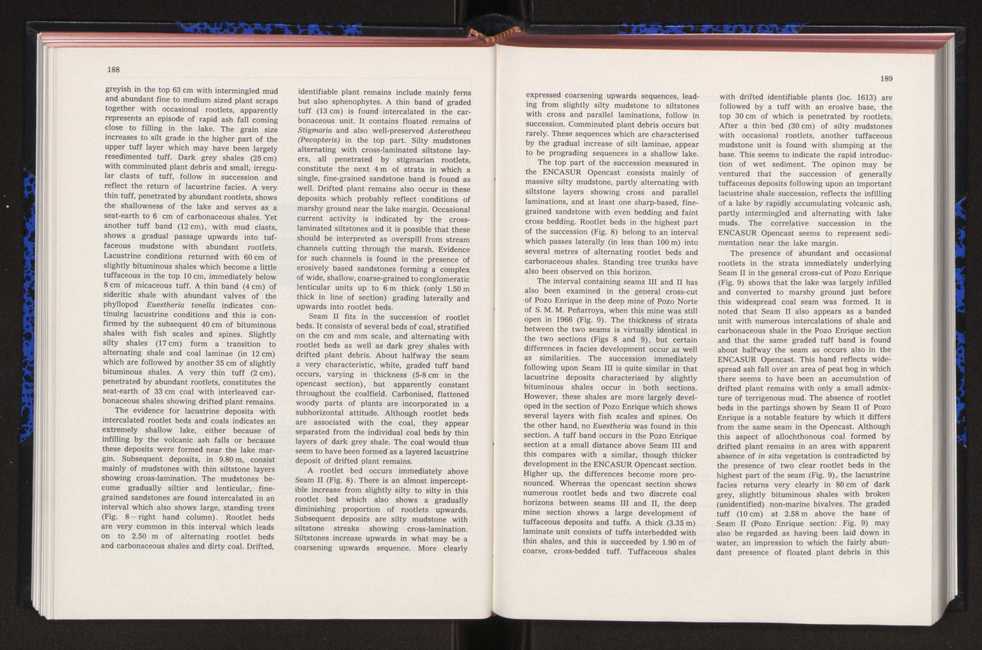 Anais da Faculdade de Cincias : supplement to volume 64 (1983) : special volume in honour of Wenceslau de Lima, palaeobotanist and statesman (1858-1919) 121