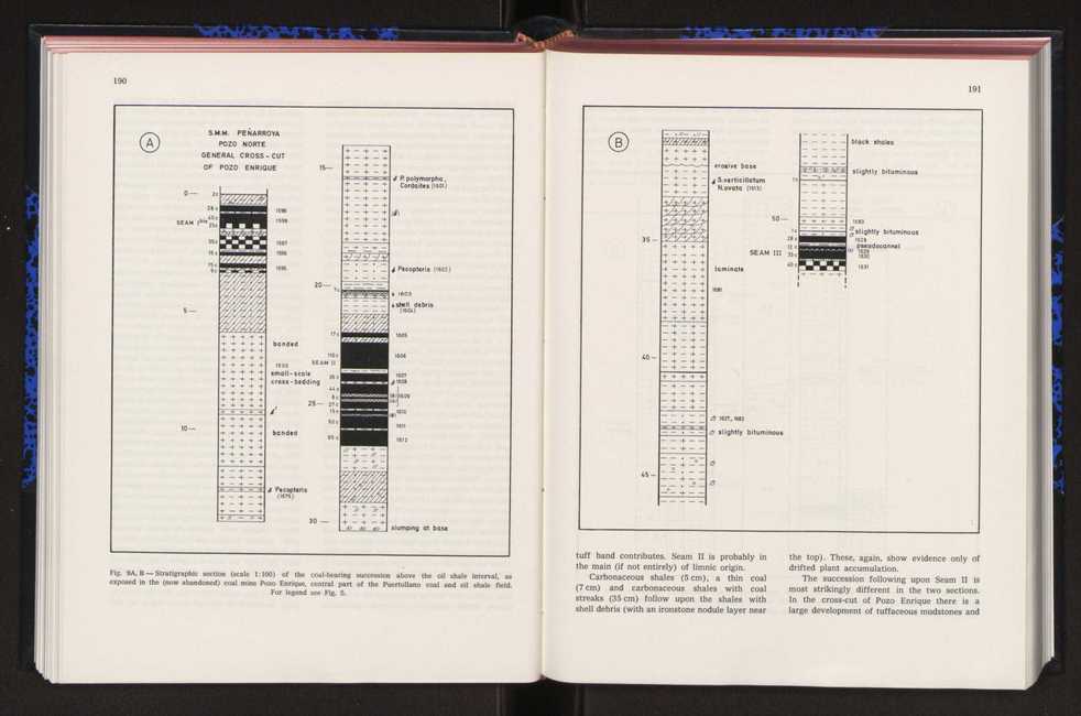 Anais da Faculdade de Cincias : supplement to volume 64 (1983) : special volume in honour of Wenceslau de Lima, palaeobotanist and statesman (1858-1919) 122