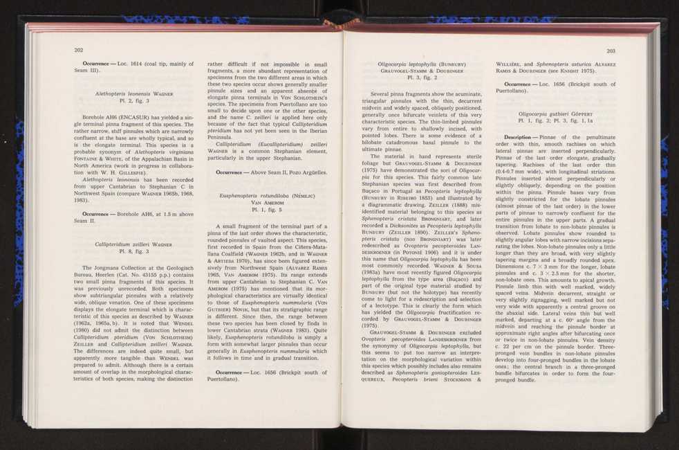 Anais da Faculdade de Cincias : supplement to volume 64 (1983) : special volume in honour of Wenceslau de Lima, palaeobotanist and statesman (1858-1919) 128