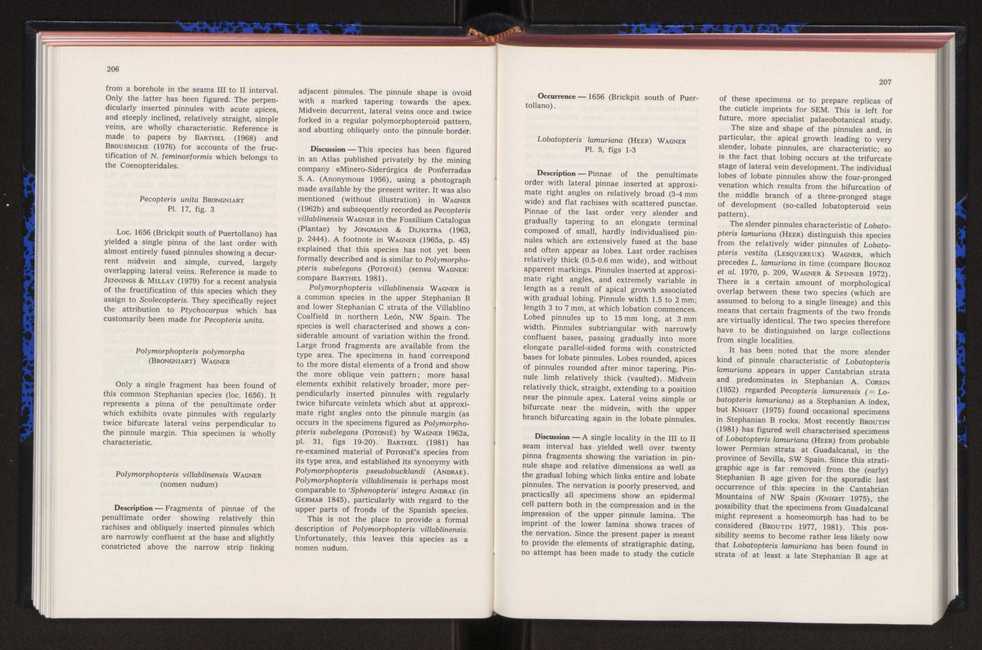 Anais da Faculdade de Cincias : supplement to volume 64 (1983) : special volume in honour of Wenceslau de Lima, palaeobotanist and statesman (1858-1919) 130
