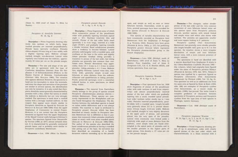 Anais da Faculdade de Cincias : supplement to volume 64 (1983) : special volume in honour of Wenceslau de Lima, palaeobotanist and statesman (1858-1919) 132