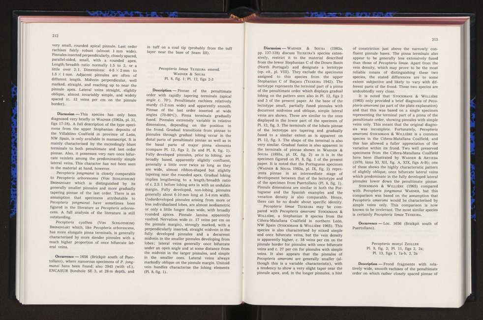 Anais da Faculdade de Cincias : supplement to volume 64 (1983) : special volume in honour of Wenceslau de Lima, palaeobotanist and statesman (1858-1919) 133